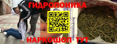сатива Кулебаки
